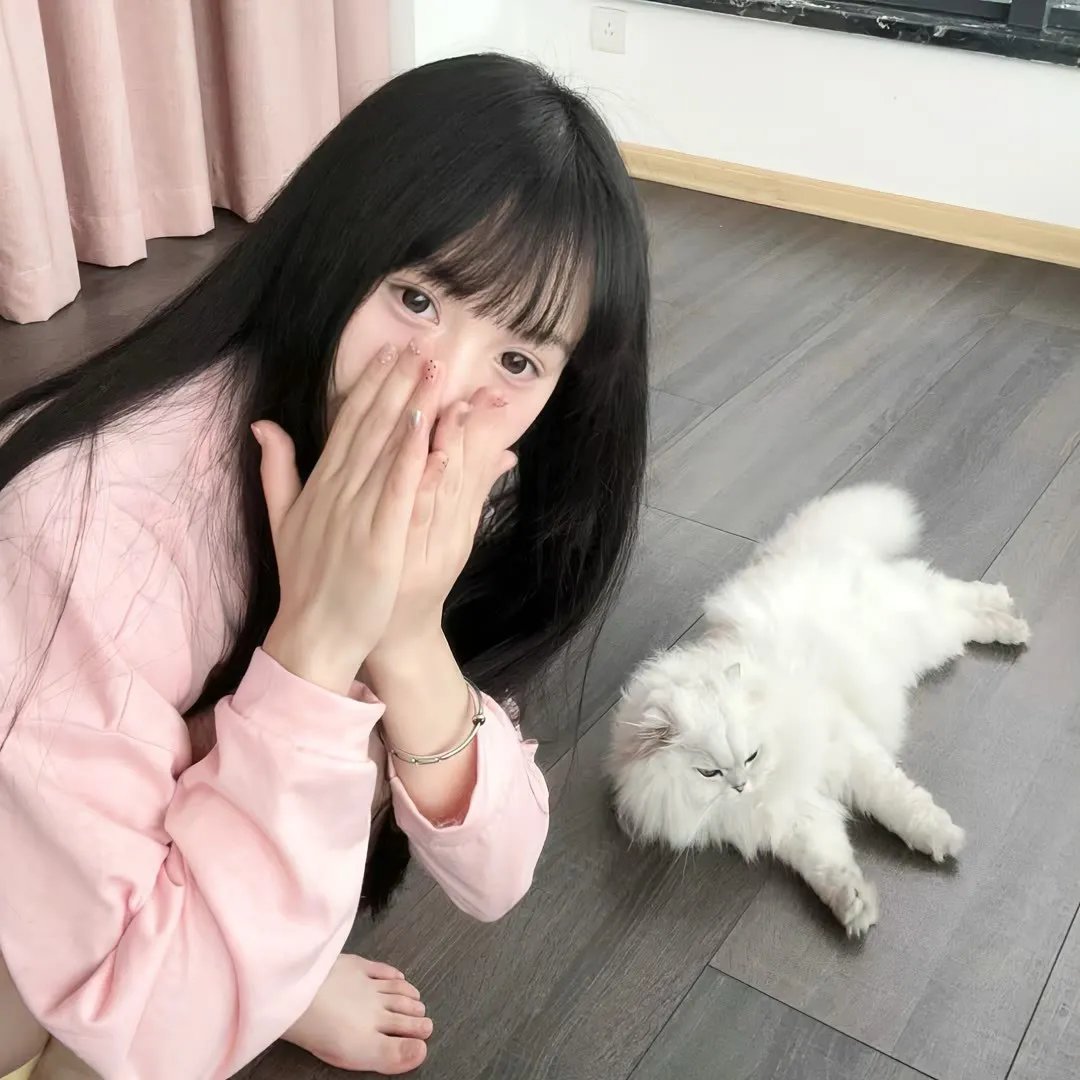 辛巴达七航妖岛