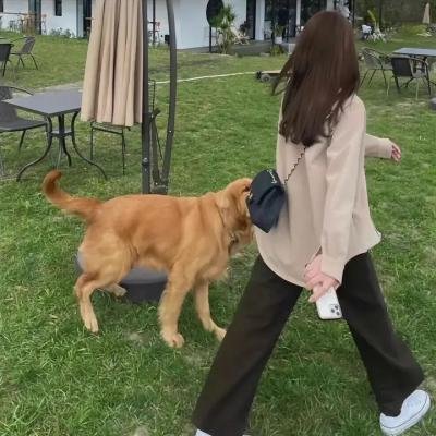 芭乐拍档